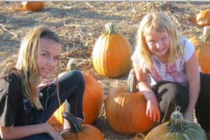 The Corley Ranch pumpkin patch