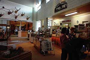 The Museum Store