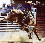 The National Intercollegiate Rodeo Association Western Regional Finals will be held in Elko May 15, 16 and 17, at the Elko County Fairgrounds.