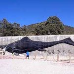 Ichthyosaur with three hors d’ouvres.