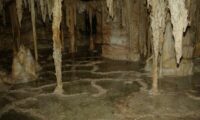 Cypress Swamp early summer Lehman Caves NPS photo