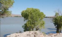 Upper Pahranagat Lake