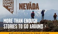 Nevada: More than Enough Stories