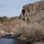 Carson river bike ride 1