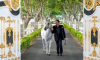 Wayne Newton at Casa de Shenandoah