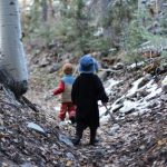 Exploring the Osceola Ditch Trail