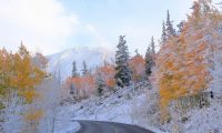 Fall colors and snow- calendar
