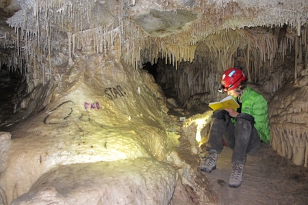 Graduate student Elena Steponaitis takes notes while collecting stalagmite and drip water samples in Lehman Caves, Nevada. (Photo: Christine Y. Chen)