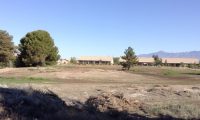 Pahrump Dec’18- old golf course trees