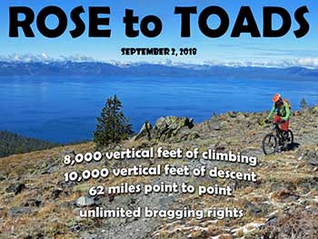 Roads to Toads 2018