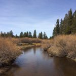 Truckee River at South Lake Tahoe -B Packer 2