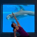 Yoga with dolphins