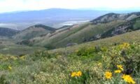 Wilderness areas above Elko Nevada