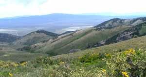 Wilderness areas above Elko Nevada