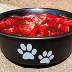 dogbowl200x150