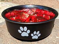 Nifty dog bowl from Harrah's Laughlin