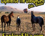 Explore Elko
