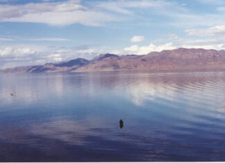 A Fisherman wades at Pyramid Lake