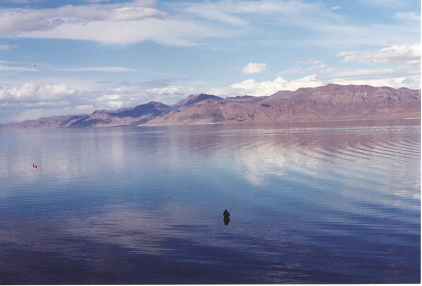 A Fisherman wades at Pyramid Lake