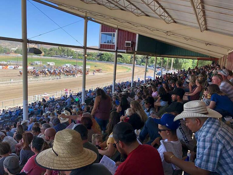 2019 Elko County Fair NevadaGram from the Nevada Travel Network