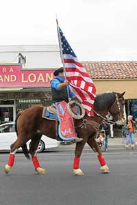 Nevada Day Parade, Elko