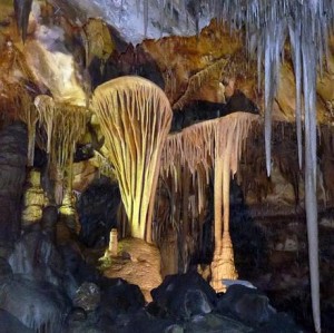 Among the phantasmagoria of mineral formations in Lehman Cave is this "parachute shield"