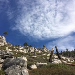 landscape near Tahoe rim trail