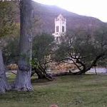 scottycastletrees300x200