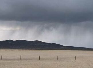 Showers in Early Spring - Nevada